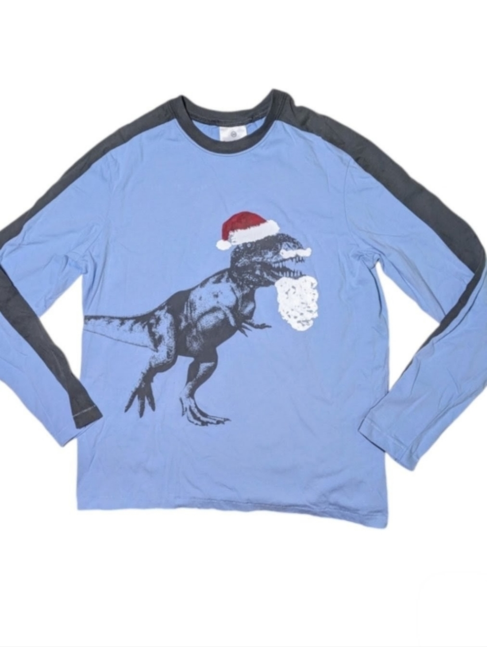 Hanna Dinosaur Santa Tee